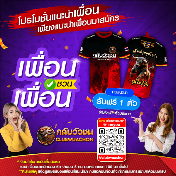 กิจกรรม คลับวัวชน พนันวัวชนออนไลน์ 3